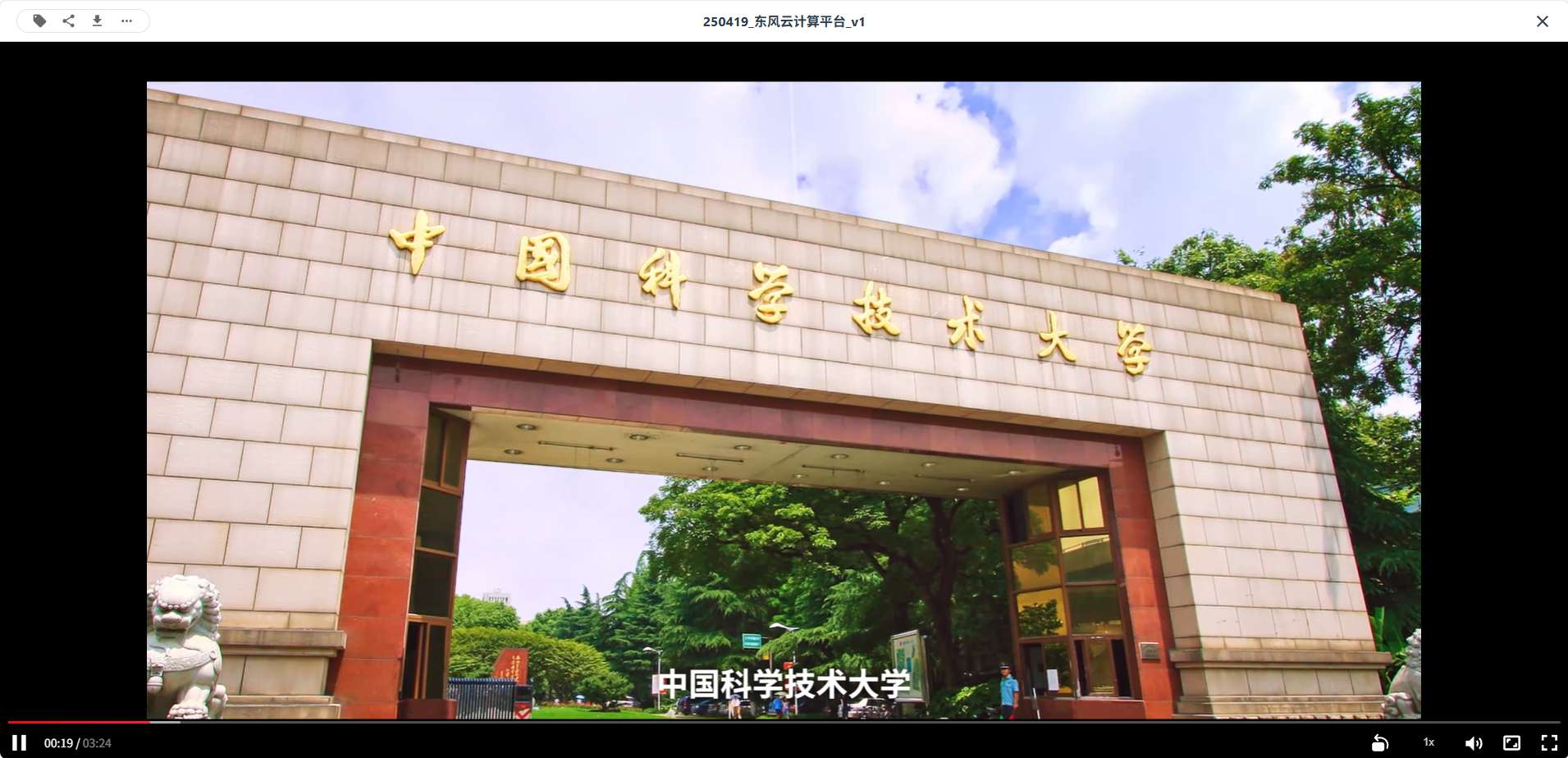 视频预览